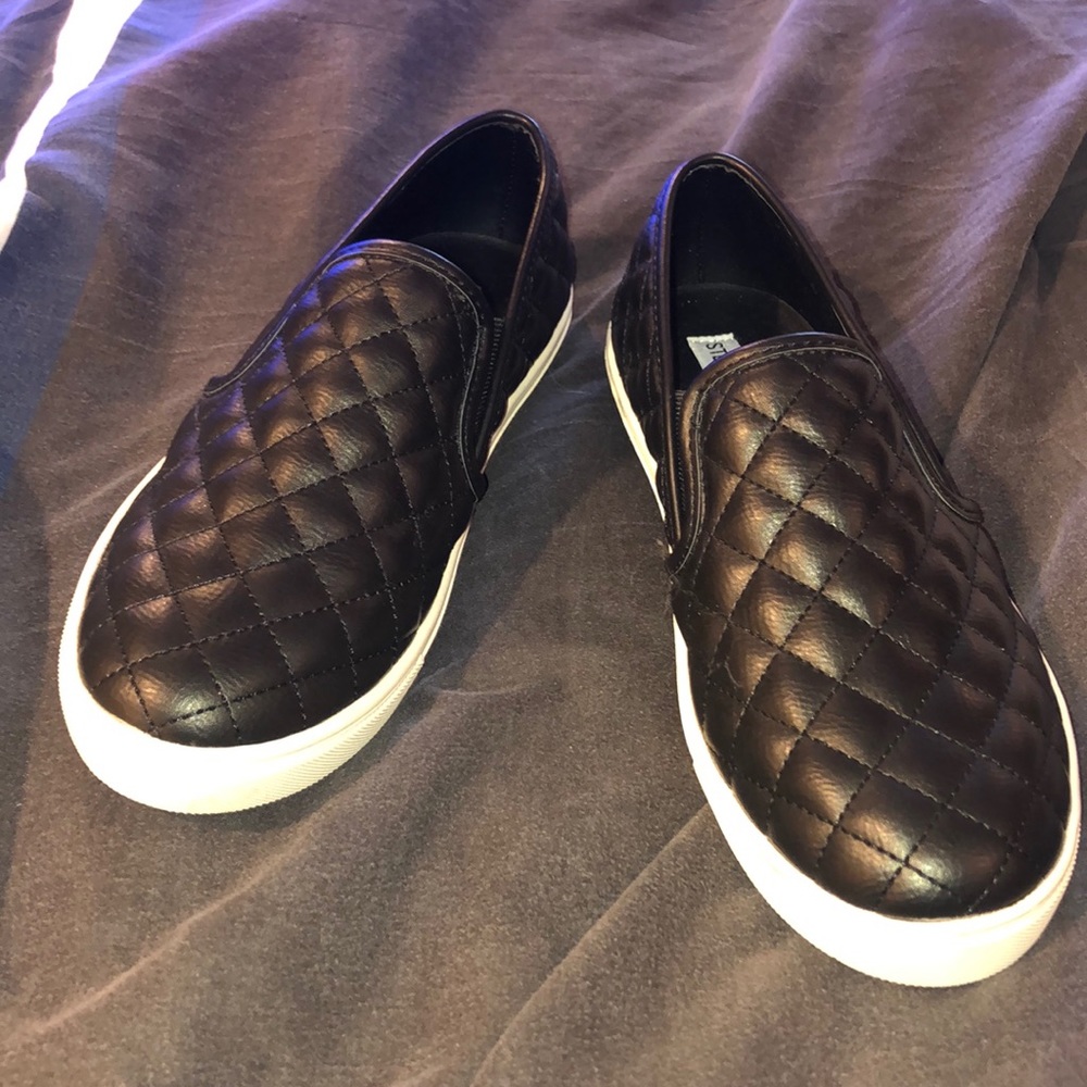 Steve Madden Ecentrcq Slip on Sneakers
